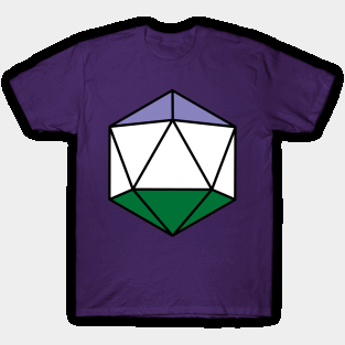 Genderqueer D20 Pride T-Shirt